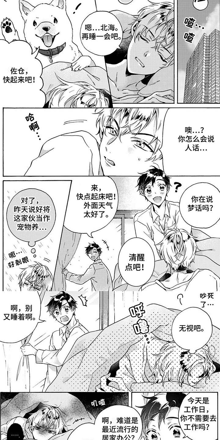 第3话：第3章：散步预览分镜