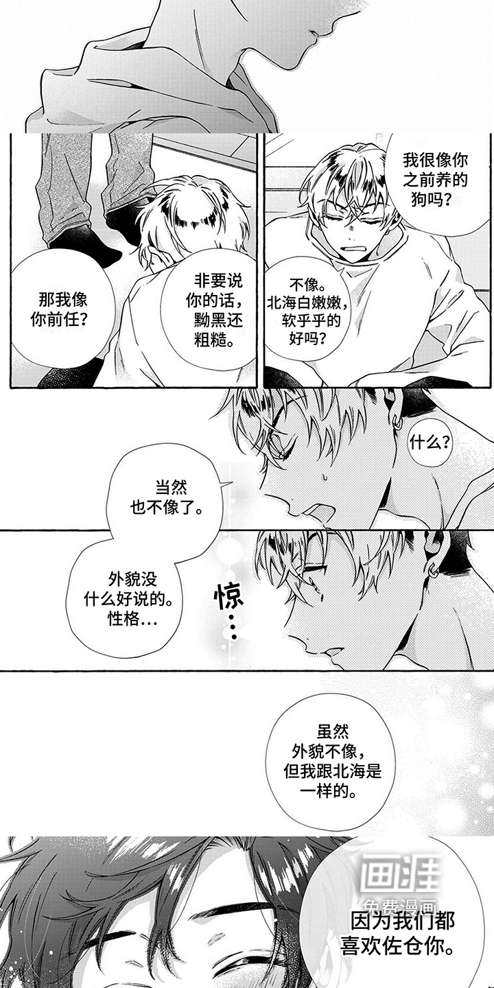 第8话：第8章：喜欢预览分镜