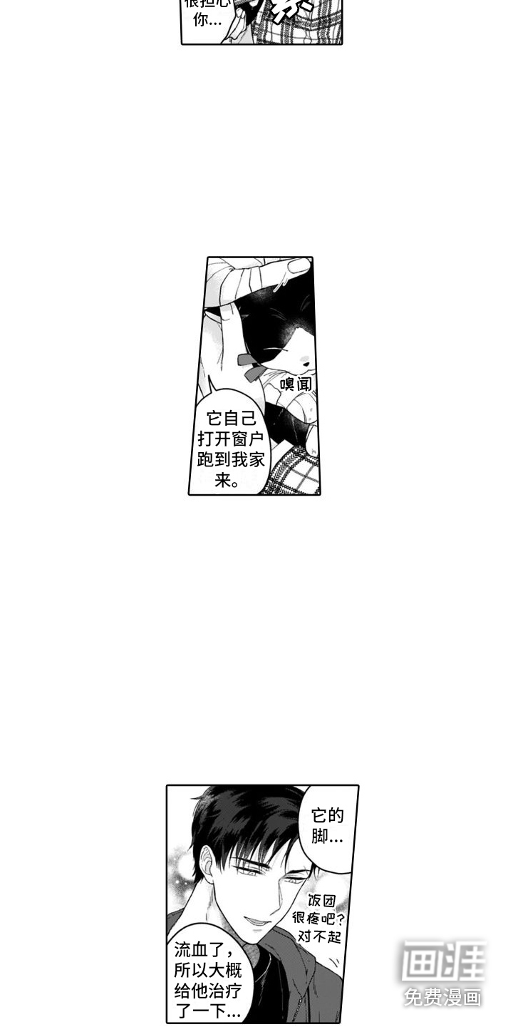 第13话：第13章：没法讨厌预览分镜