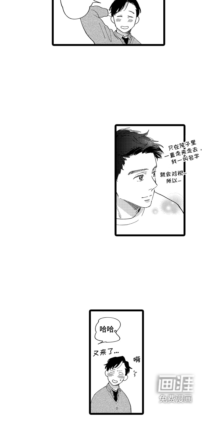 第12话：第12章：很可爱预览分镜