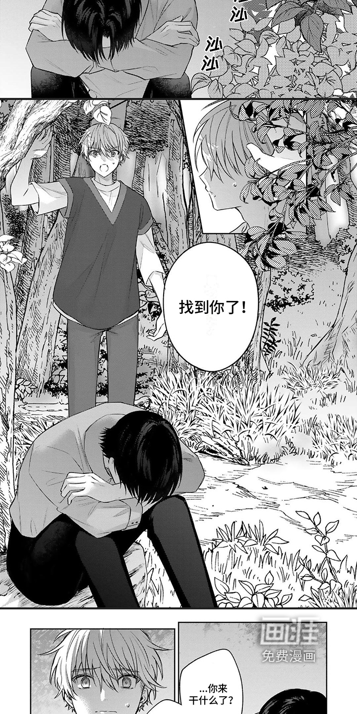 第15话：第15章：感动预览分镜