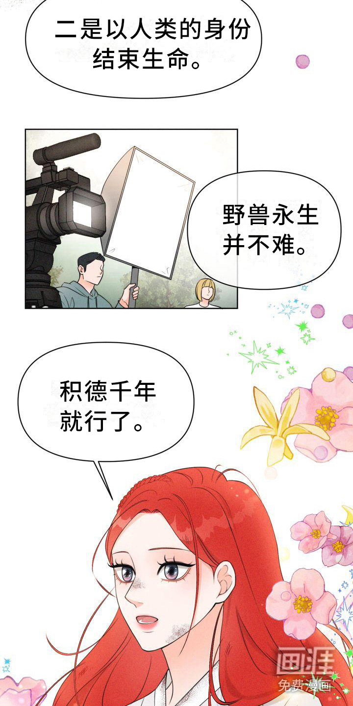 第5话：第5章：山间红衣女预览分镜