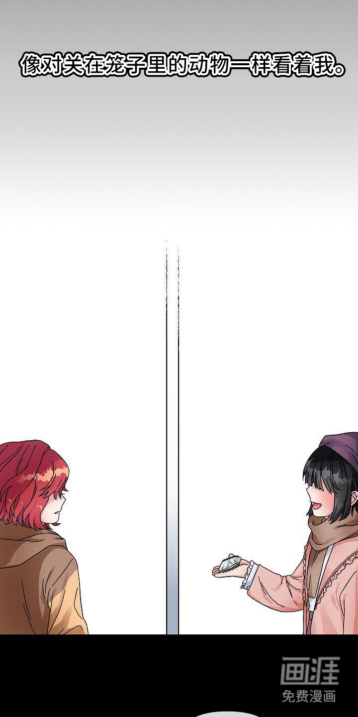 第4话：第4章：宠物预览分镜