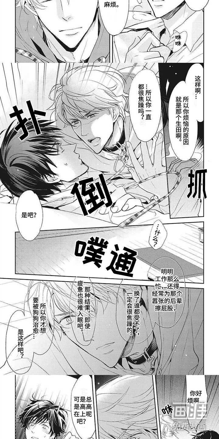第6话：第6章：好好玩耍预览分镜