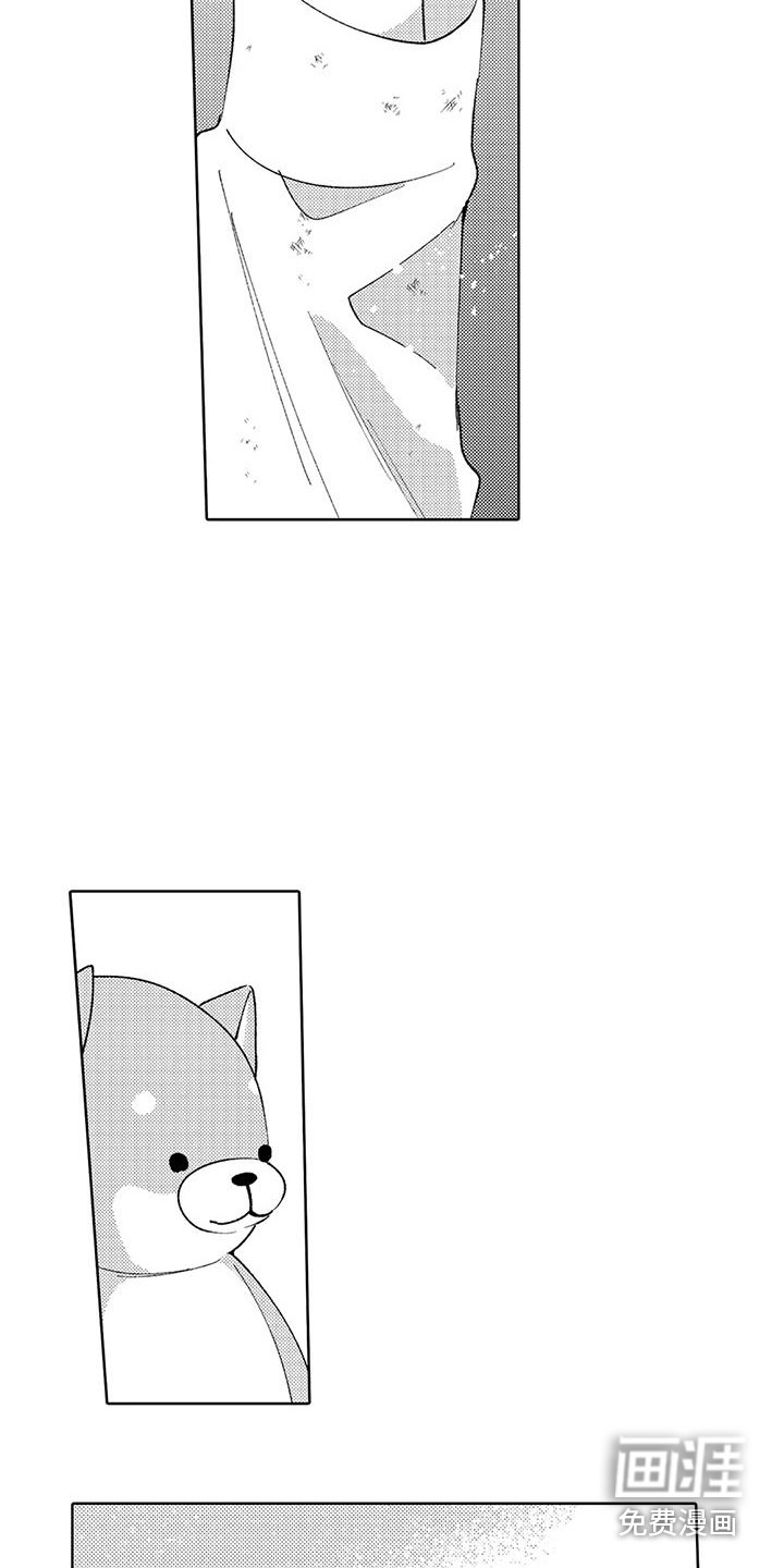 一家人(完结)