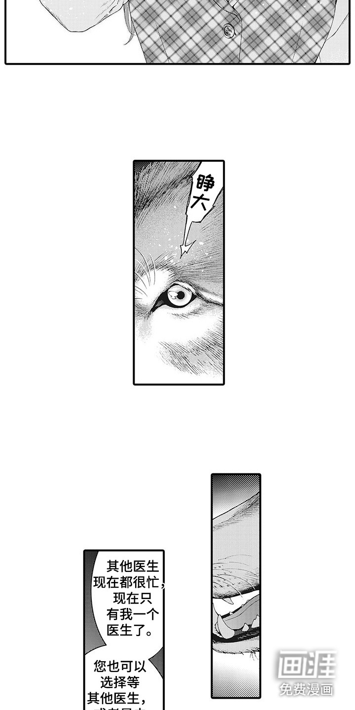 第4话：第4章：巧遇预览分镜