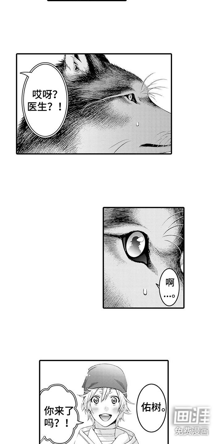 第11话：第11章：表白预览分镜