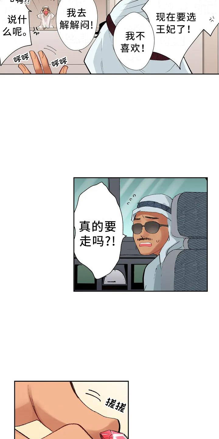 第1话：第1章：王子预览分镜