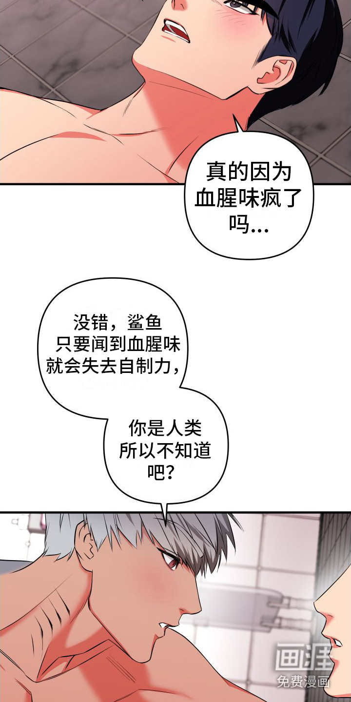 第4话：第4章：互帮互助预览分镜