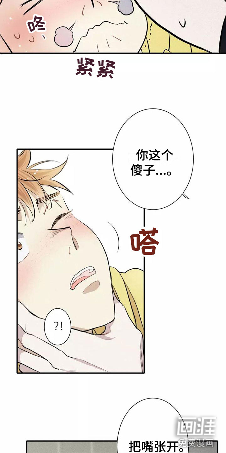 第5话：第5章： 初吻预览分镜