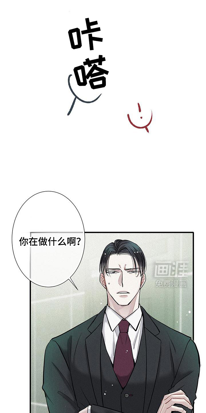 第44章:太帅了