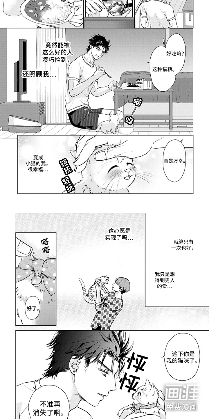 第8话：第8章：取名预览分镜