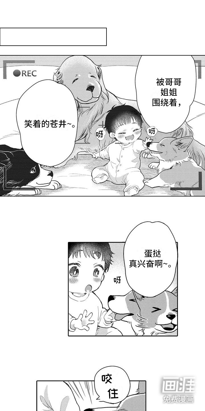 第7话：第7章：遛狗预览分镜