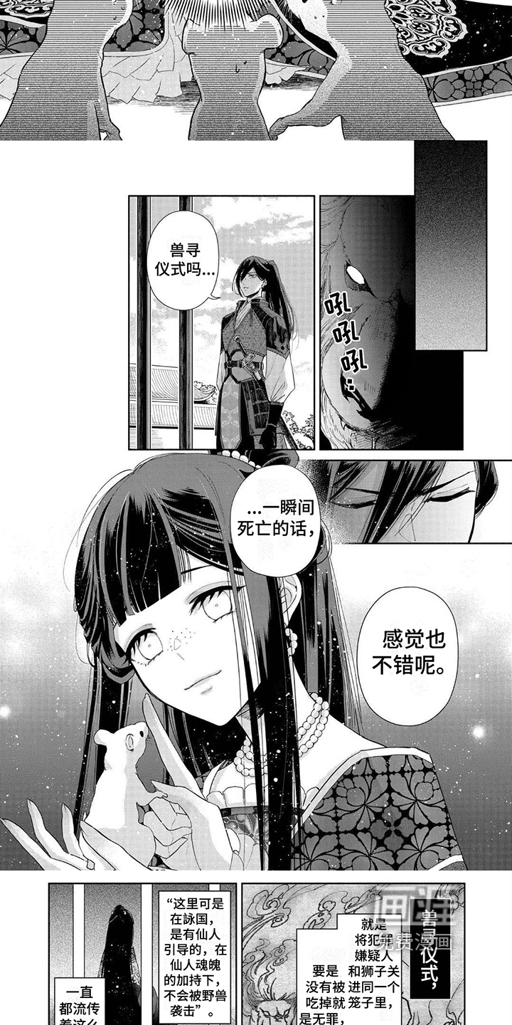 第5话：第5章：令人羡慕预览分镜
