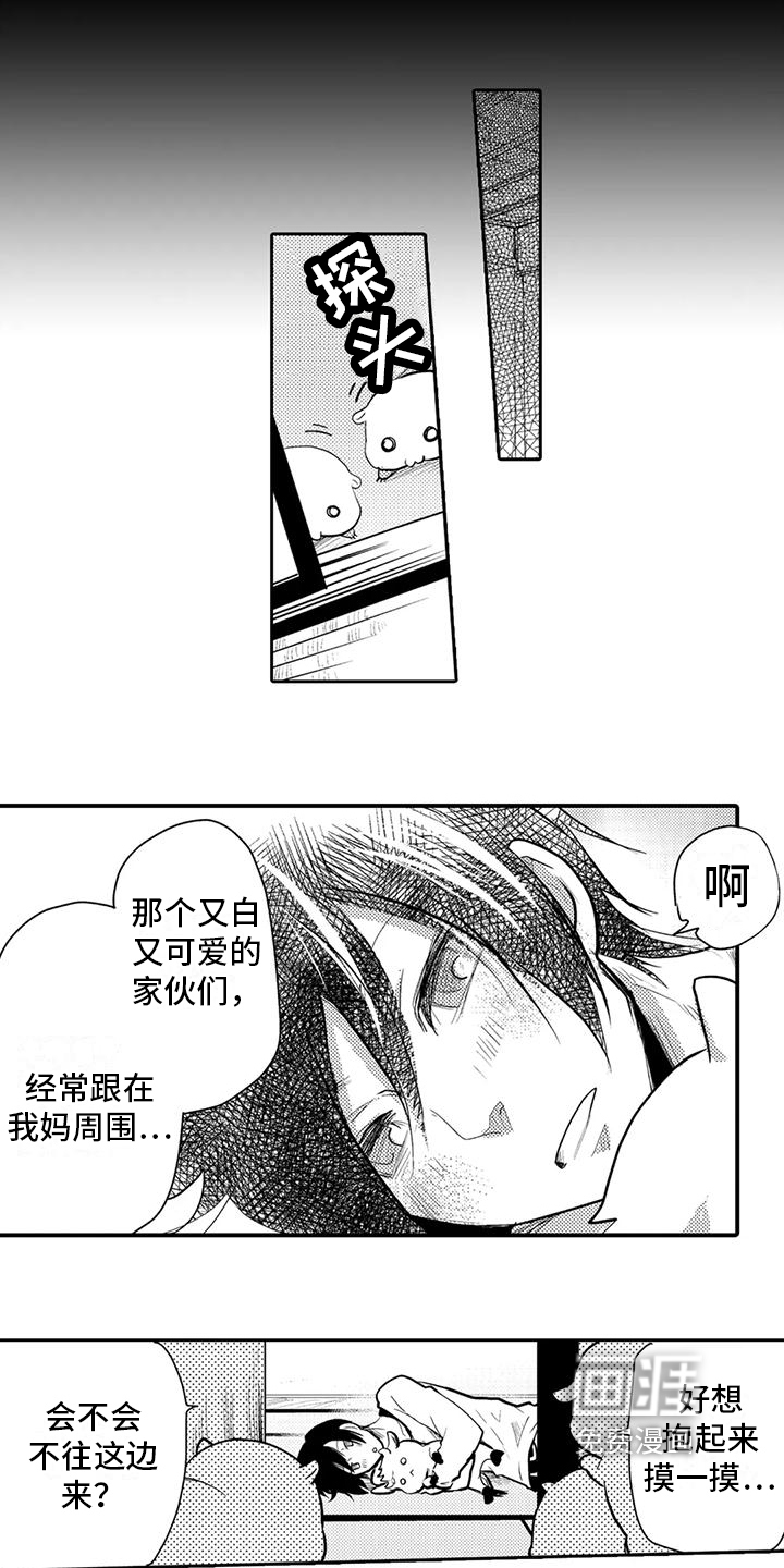 第5话：第5章：同居预览分镜