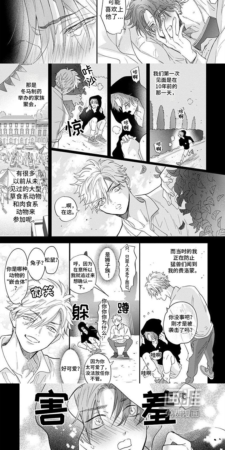 第8话：第8章：喜欢的人预览分镜