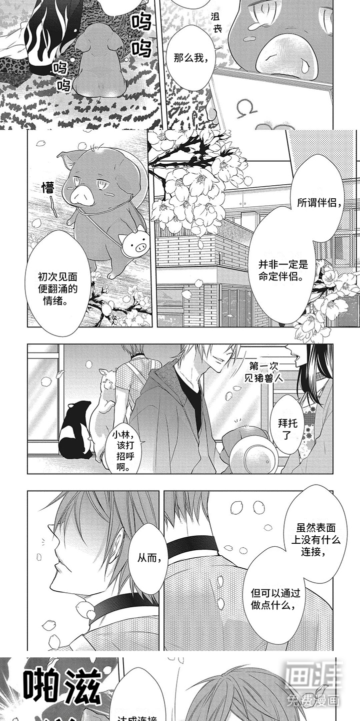 第13话：第13章：达成连接预览分镜