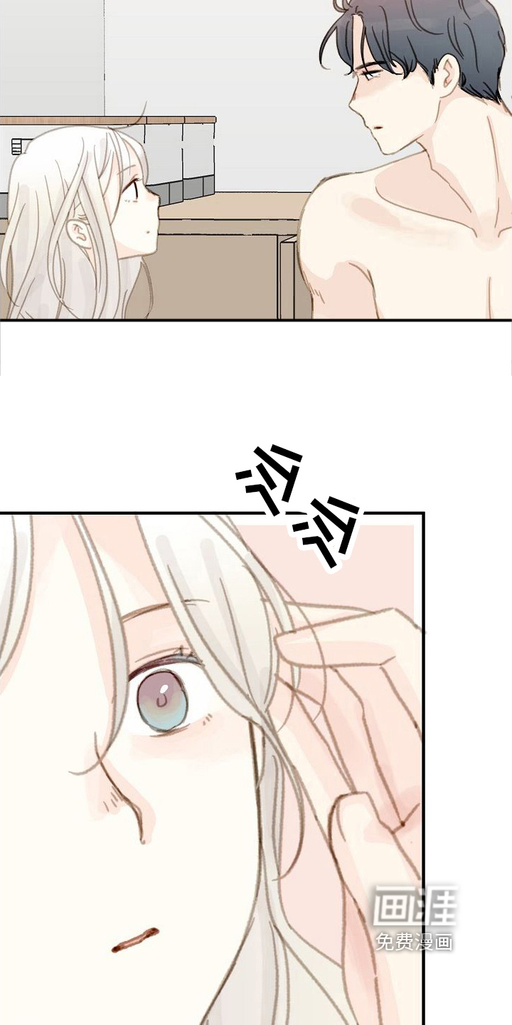 第17话：第17章：体贴预览分镜