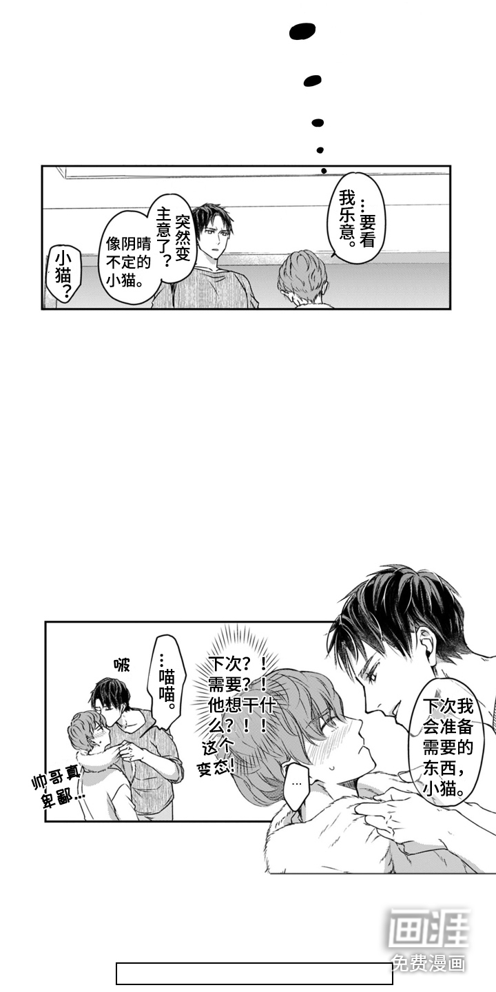 第4话：第4章：小猫咪预览分镜