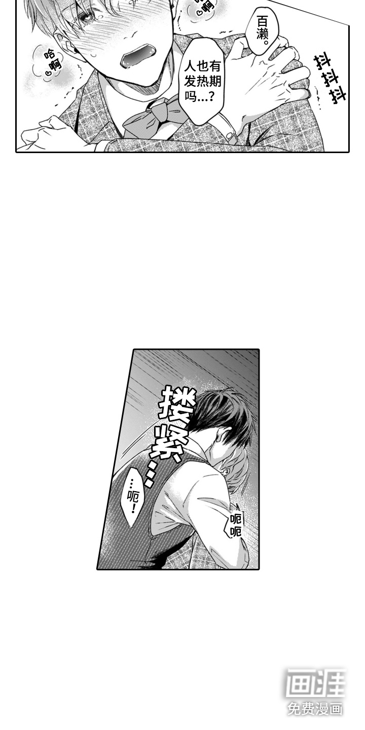 第16话：第16章：公平评判预览分镜