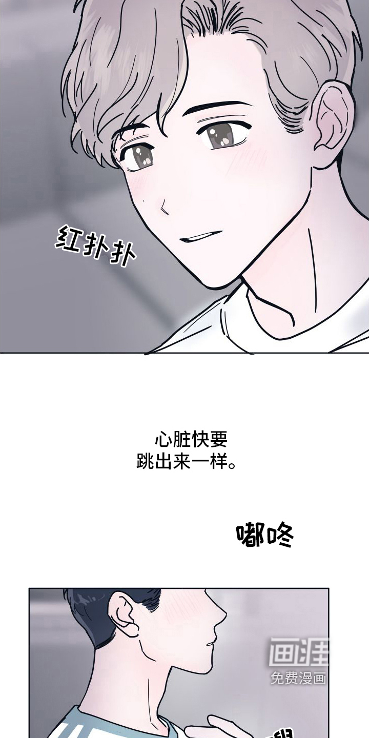 坠入爱河【完结】