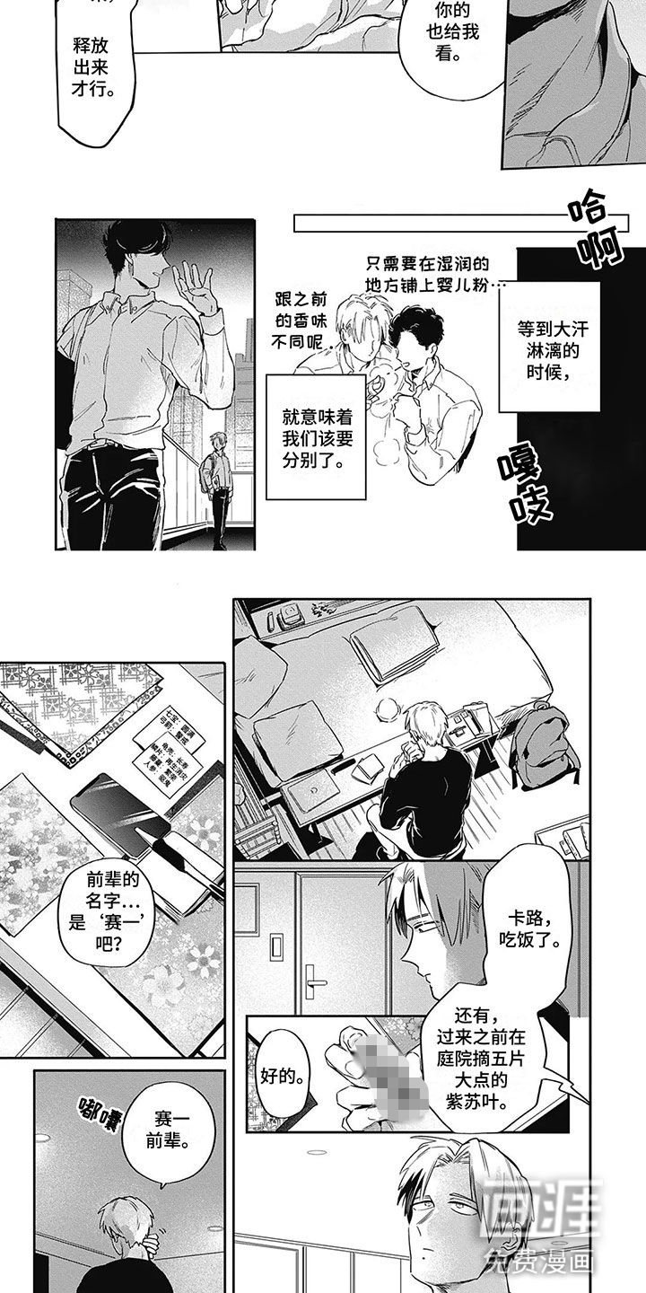 第7话：第7章：折纸预览分镜