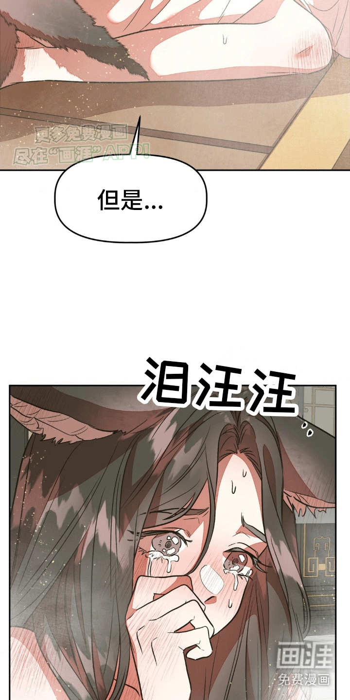 最正确的决定(完结)
