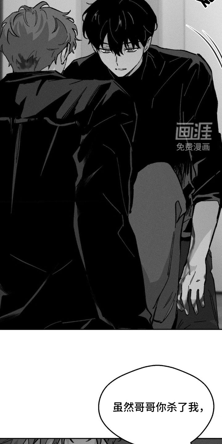 第38章:没有爱过你(完结)