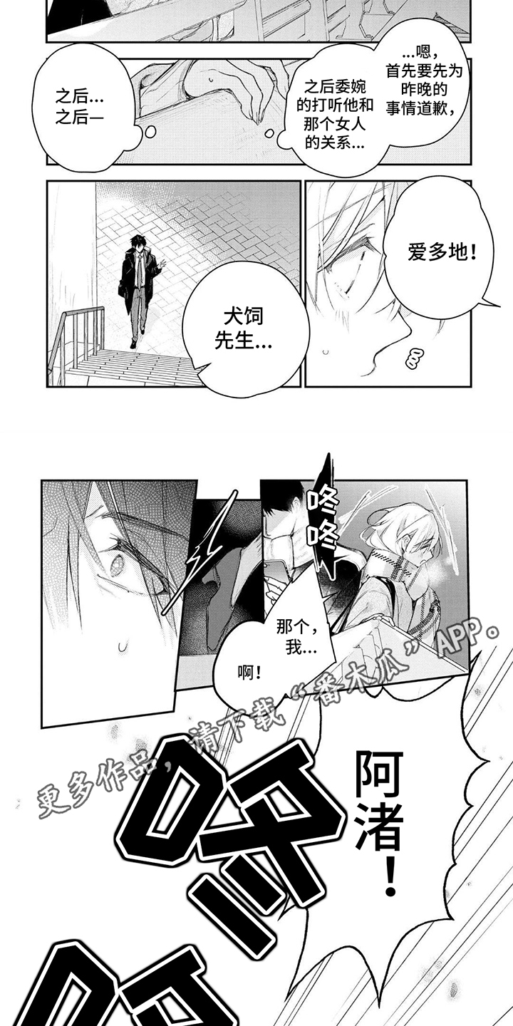 坦白心意