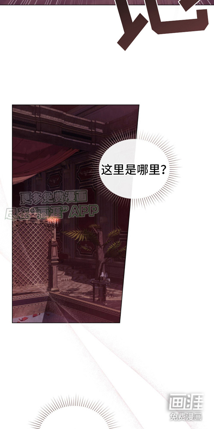 第2话：第2章：失忆预览分镜