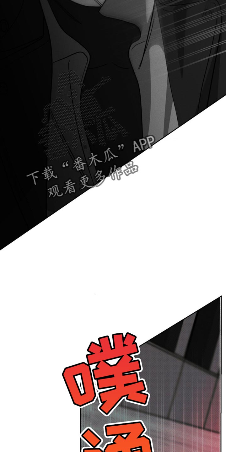 第48章：固执的家伙