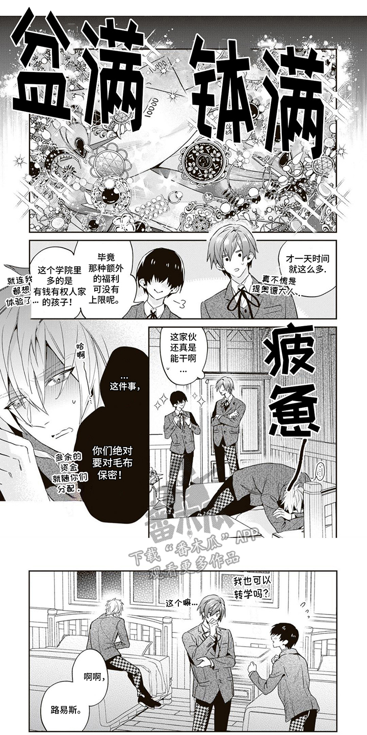 我的荣幸(完结)