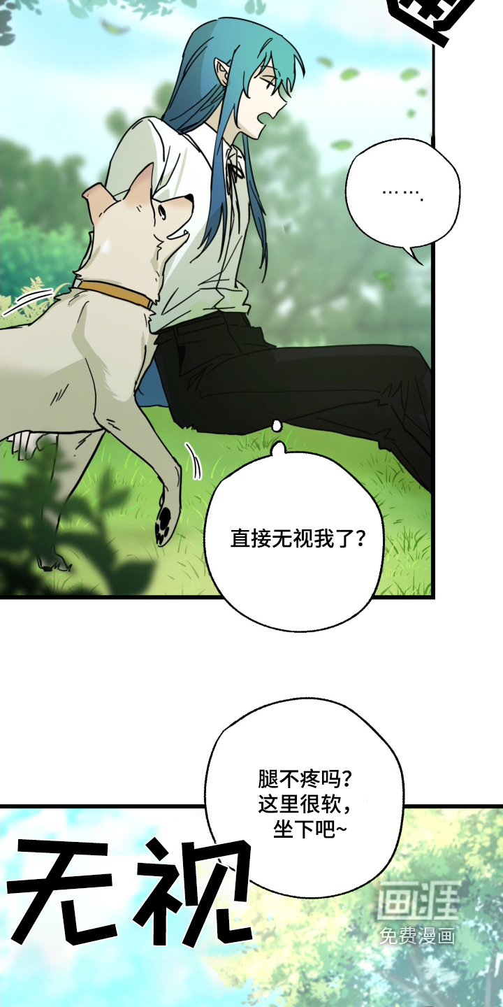 第29章：最后一次