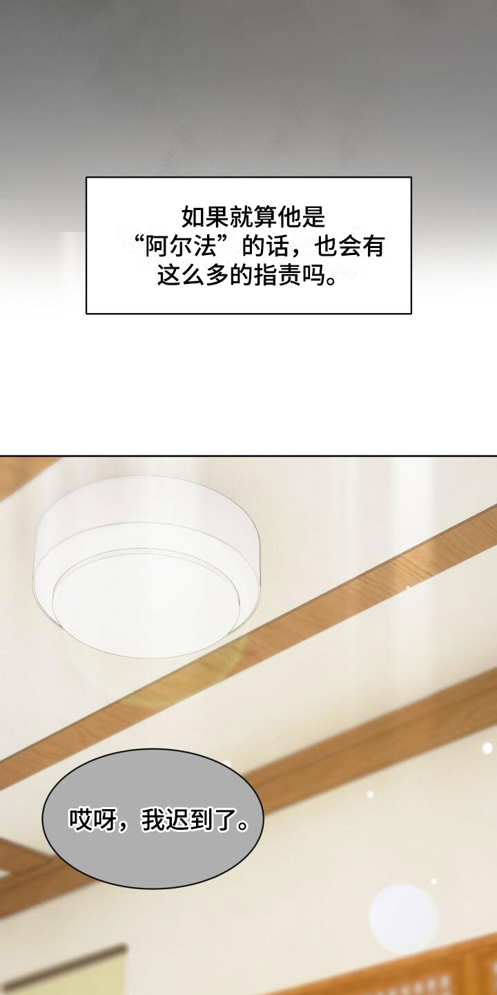 第3话：定好了预览分镜