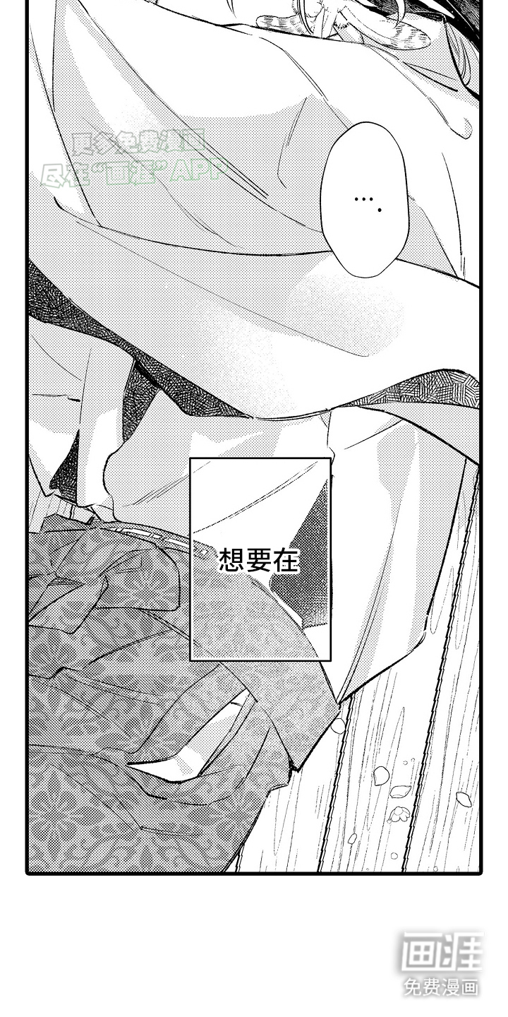 第4话：第4章：外出预览分镜