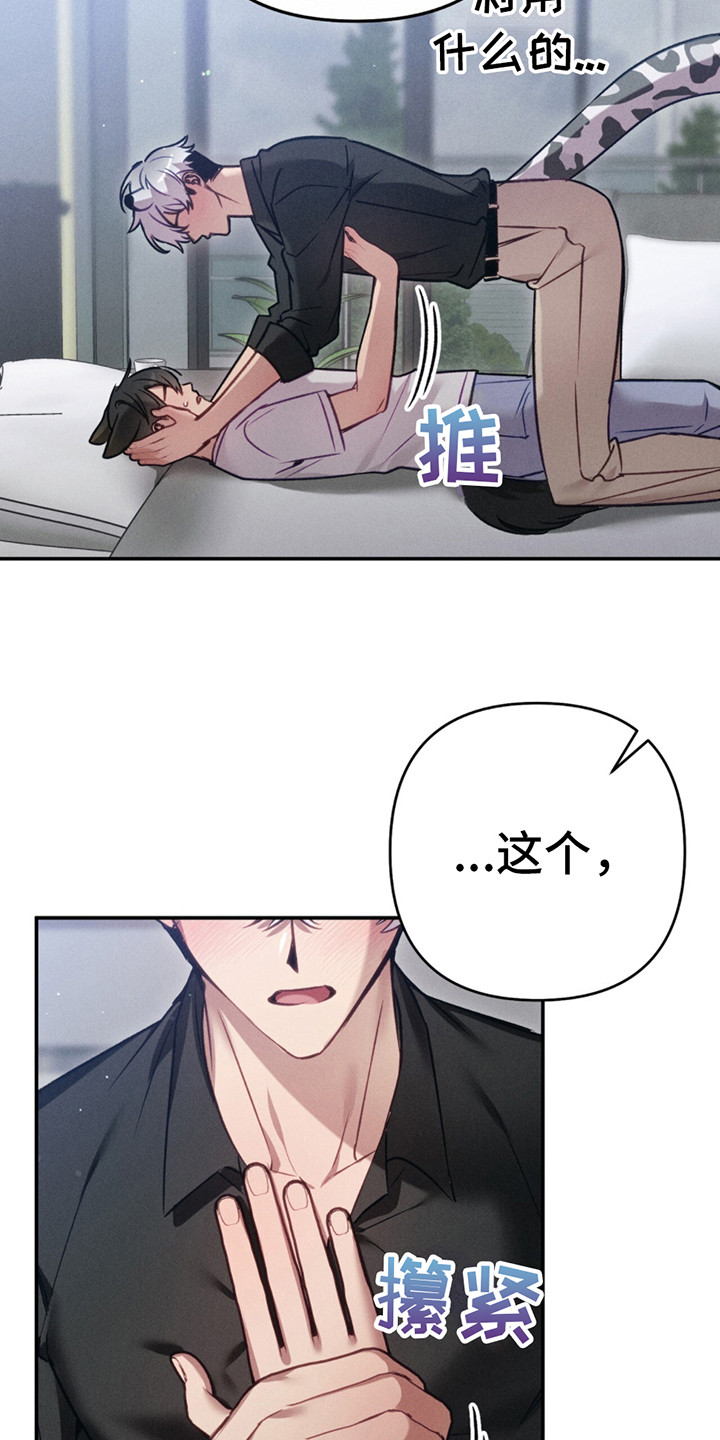 第10话：心意预览分镜