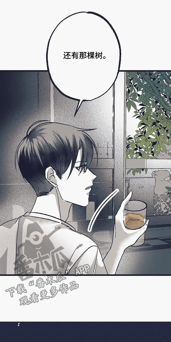 第18话：请求预览分镜