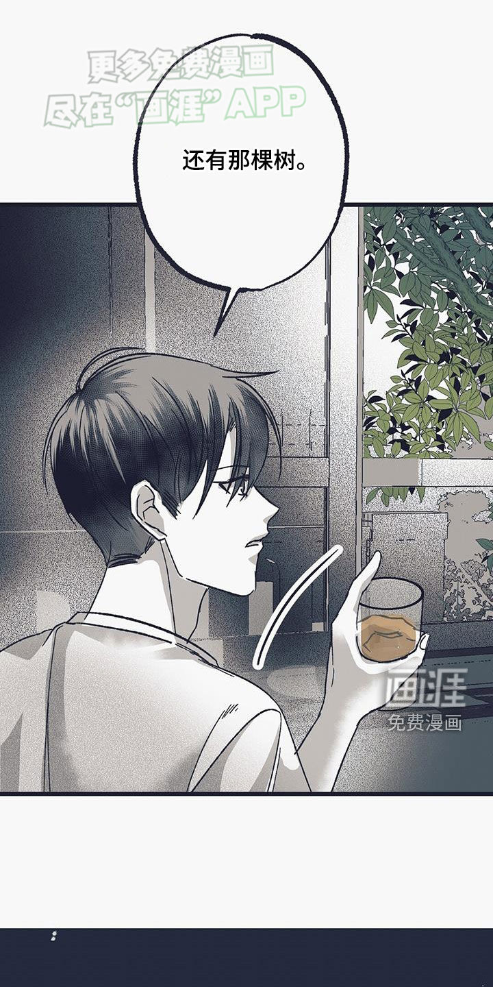第18话：第18章：请求预览分镜