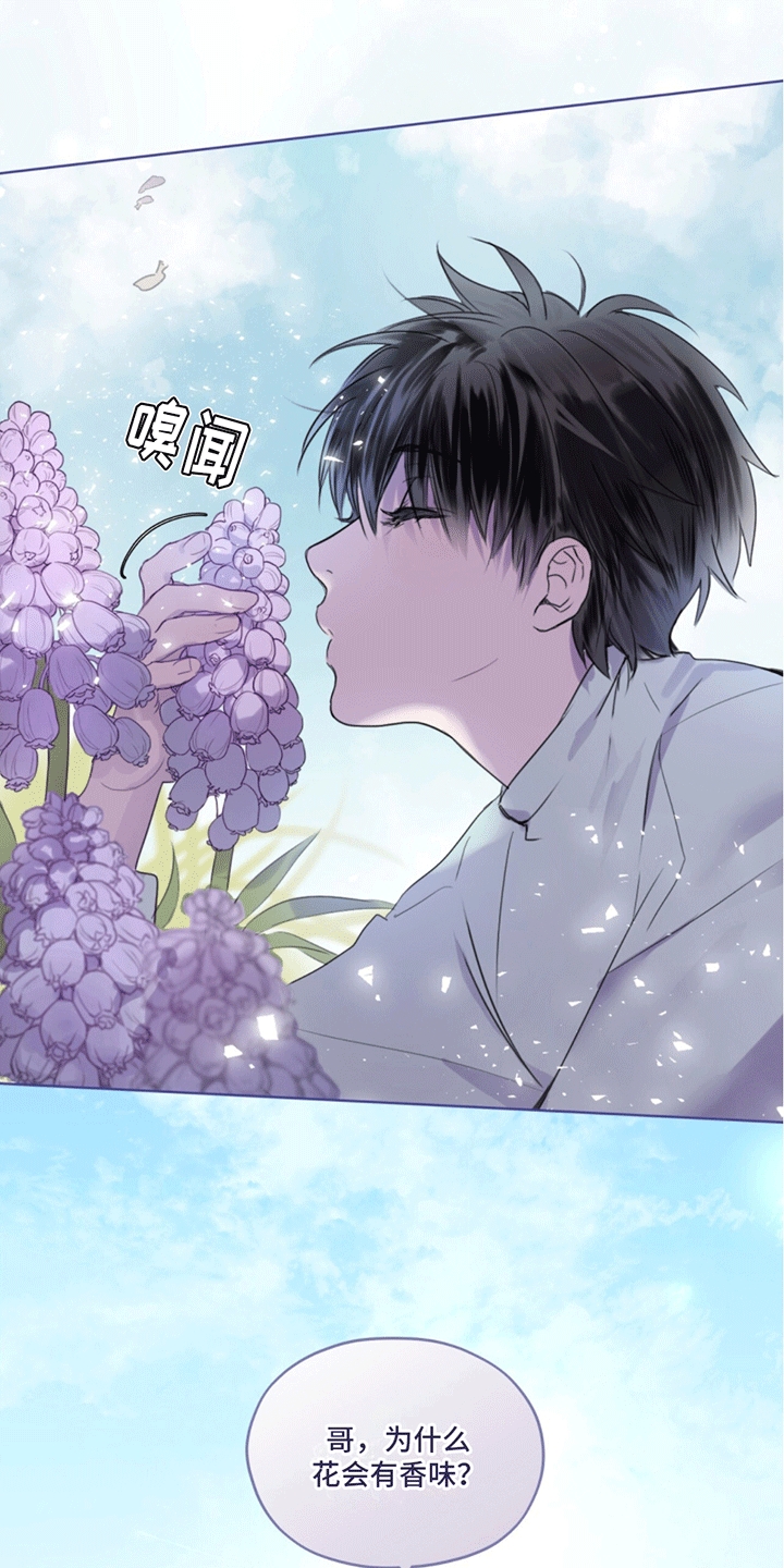 第1话：记忆预览分镜