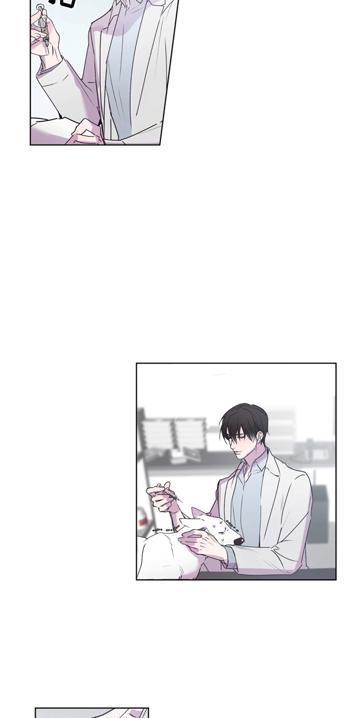 第4话：再次见面预览分镜