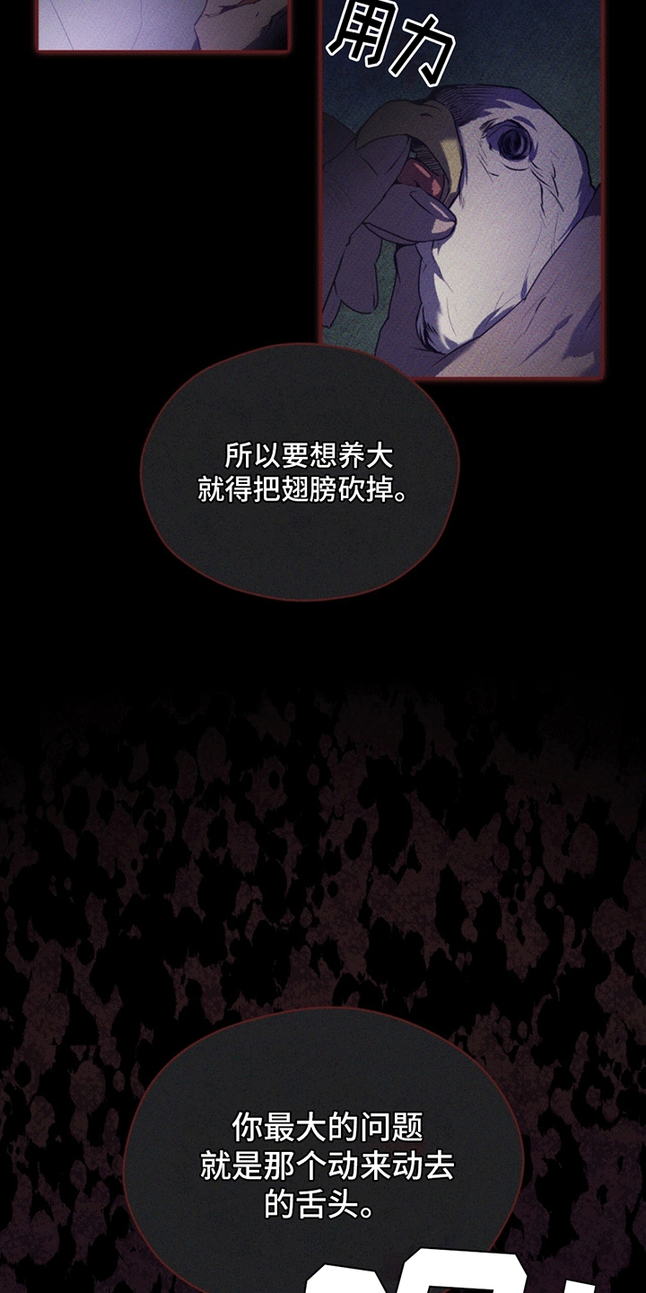 第9话：双胞胎预览分镜