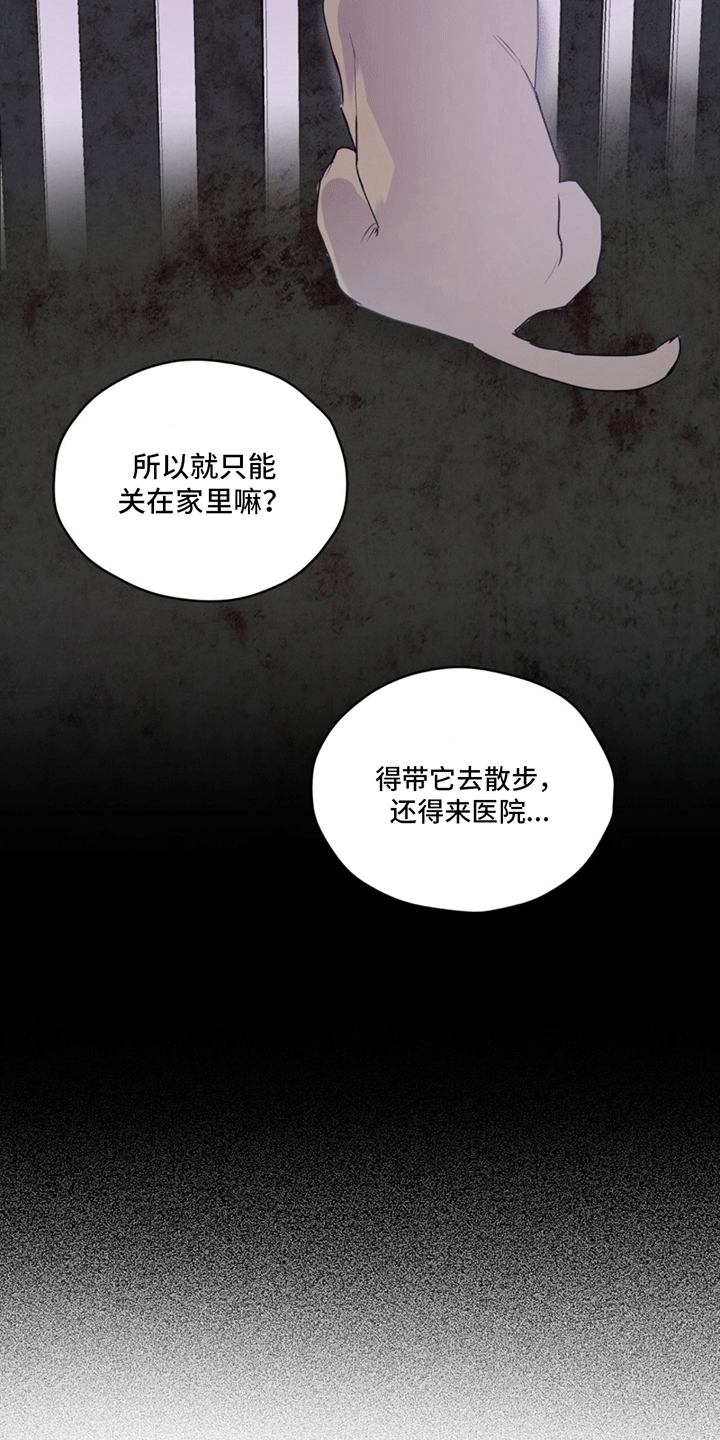 第10话：巧克力预览分镜