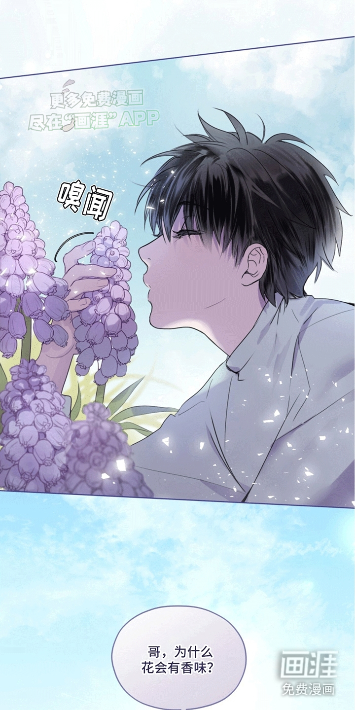 第1话：第1章：记忆预览分镜