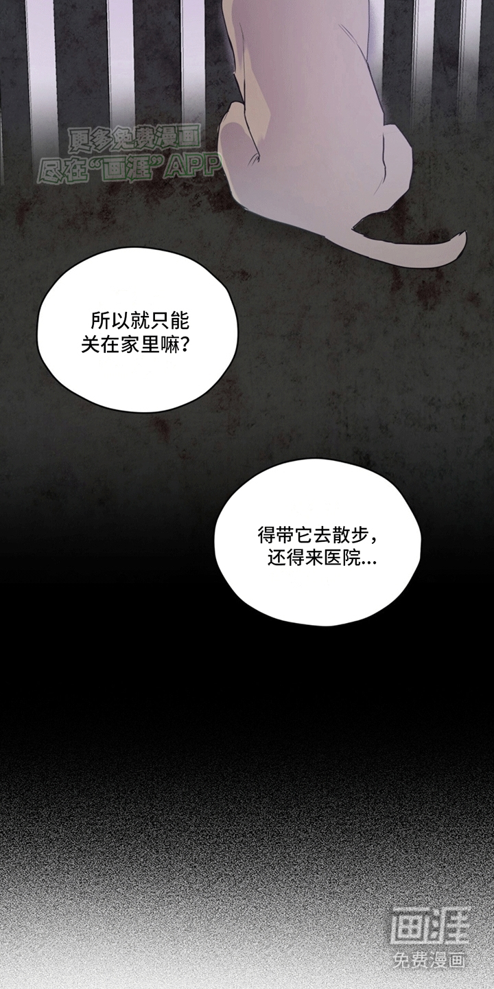 第10话：第10章：巧克力预览分镜
