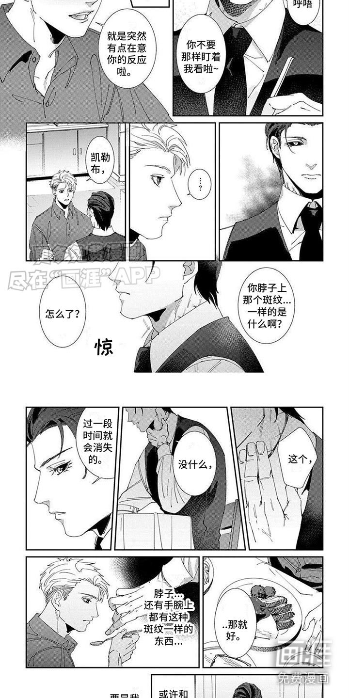 第11话：第11章：保证预览分镜