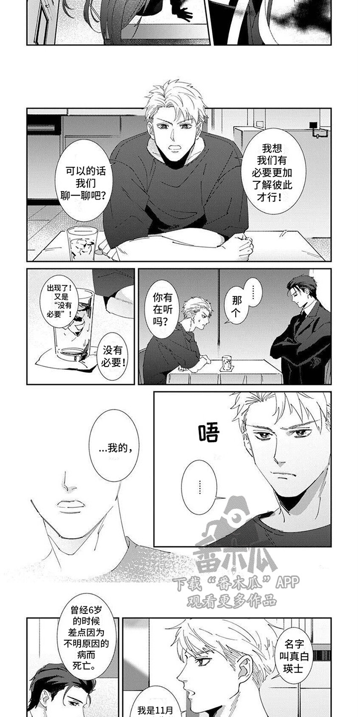 第7话：等级预览分镜