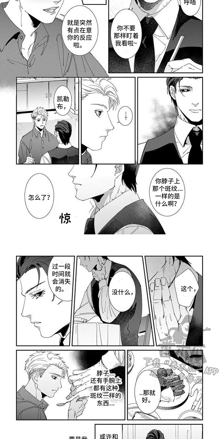 第11话：保证预览分镜