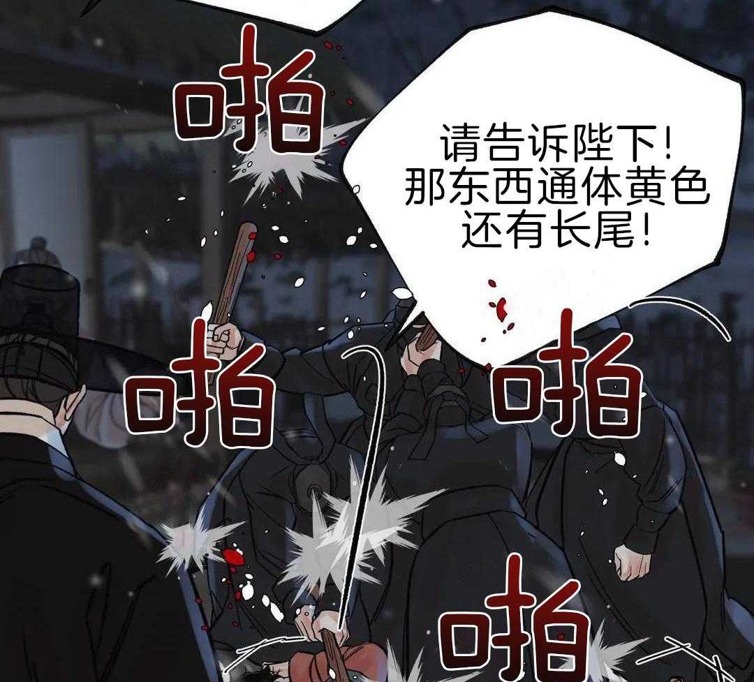 第45话 千年虎的下落（第一季 完）