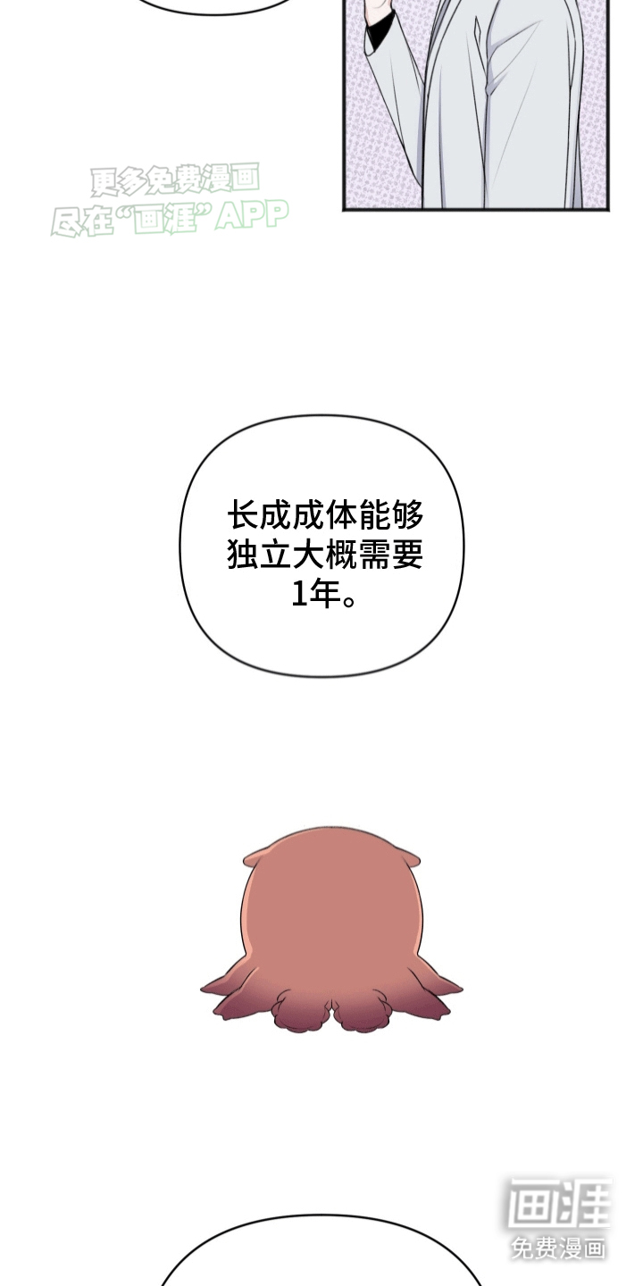 第5话：第5章：助手预览分镜