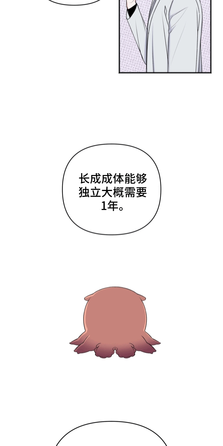第5话：助手预览分镜